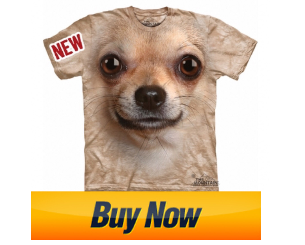 Chihuahua Dog - Chiwawa Dog Information 5 Chihuahua Dog - Chiwawa Dog Information 1