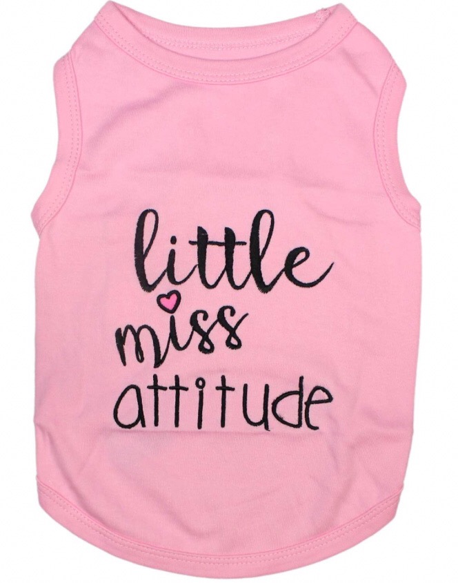 Chihuahua clothing 9 Chihuahua clothing 9