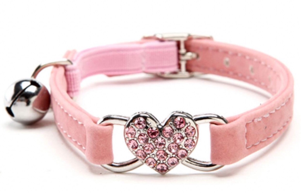 Chihuahua collars 5 Chihuahua collars 5