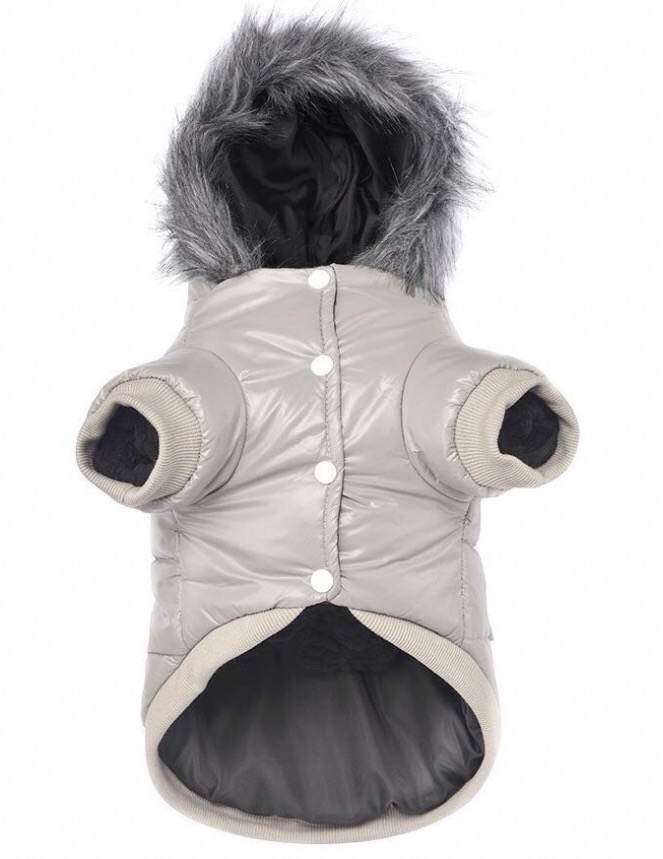 Chihuahua jackets 7 Chihuahua jackets 7