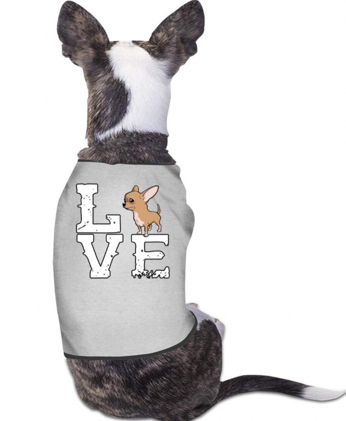 Chihuahua clothing 8 Chihuahua clothing 8