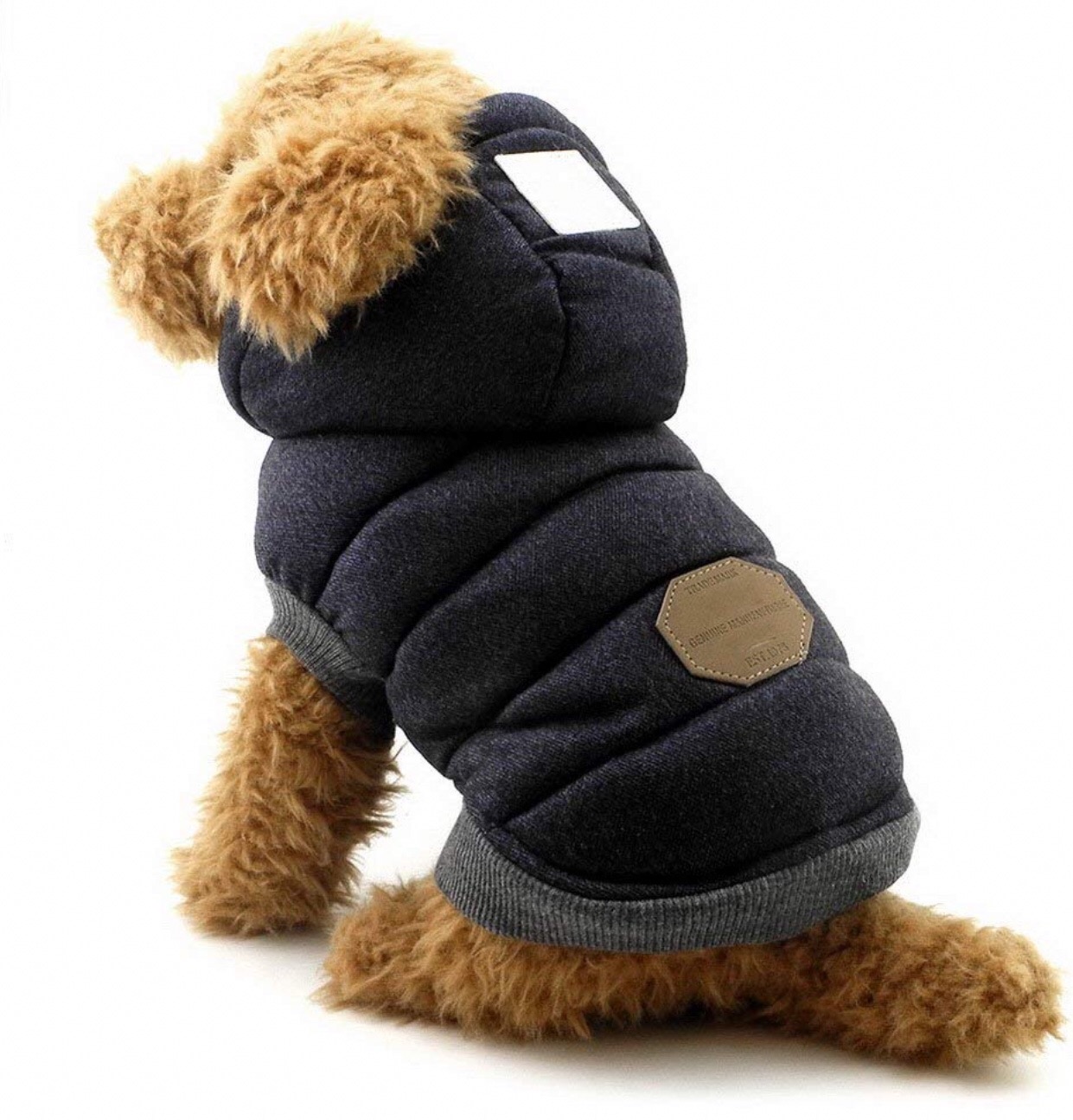 Chihuahua jackets 3 Chihuahua jackets 3
