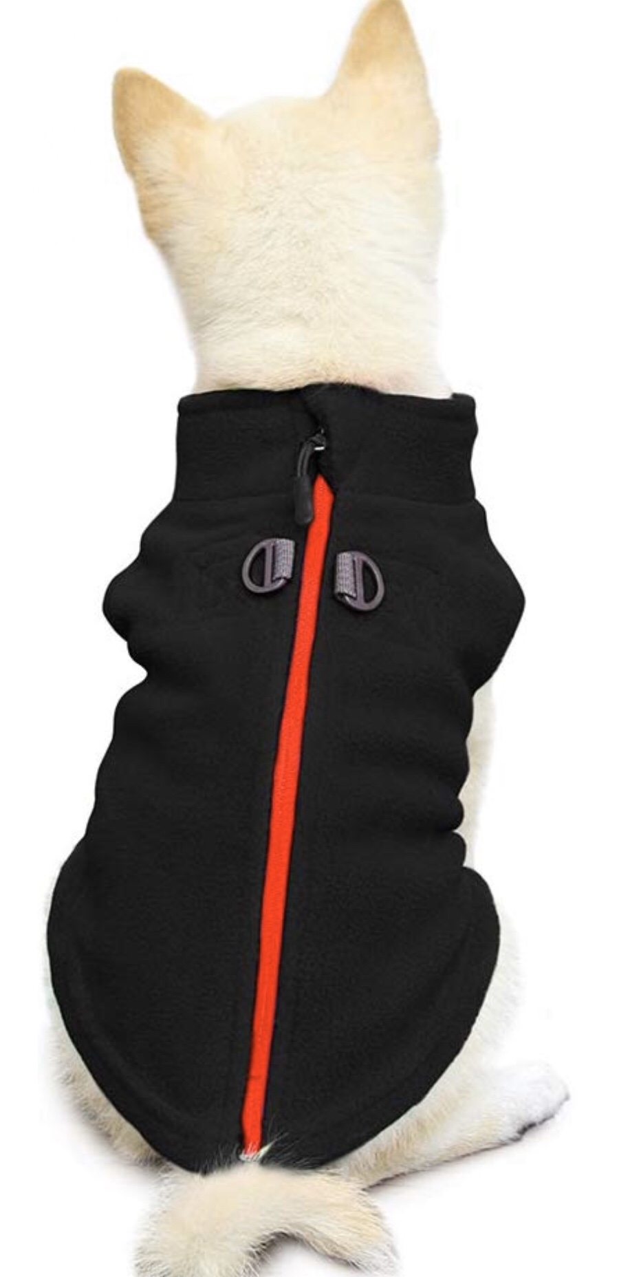Chihuahua jackets 10 Chihuahua jackets 10
