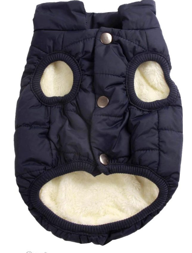 Chihuahua jackets 9 Chihuahua jackets 9