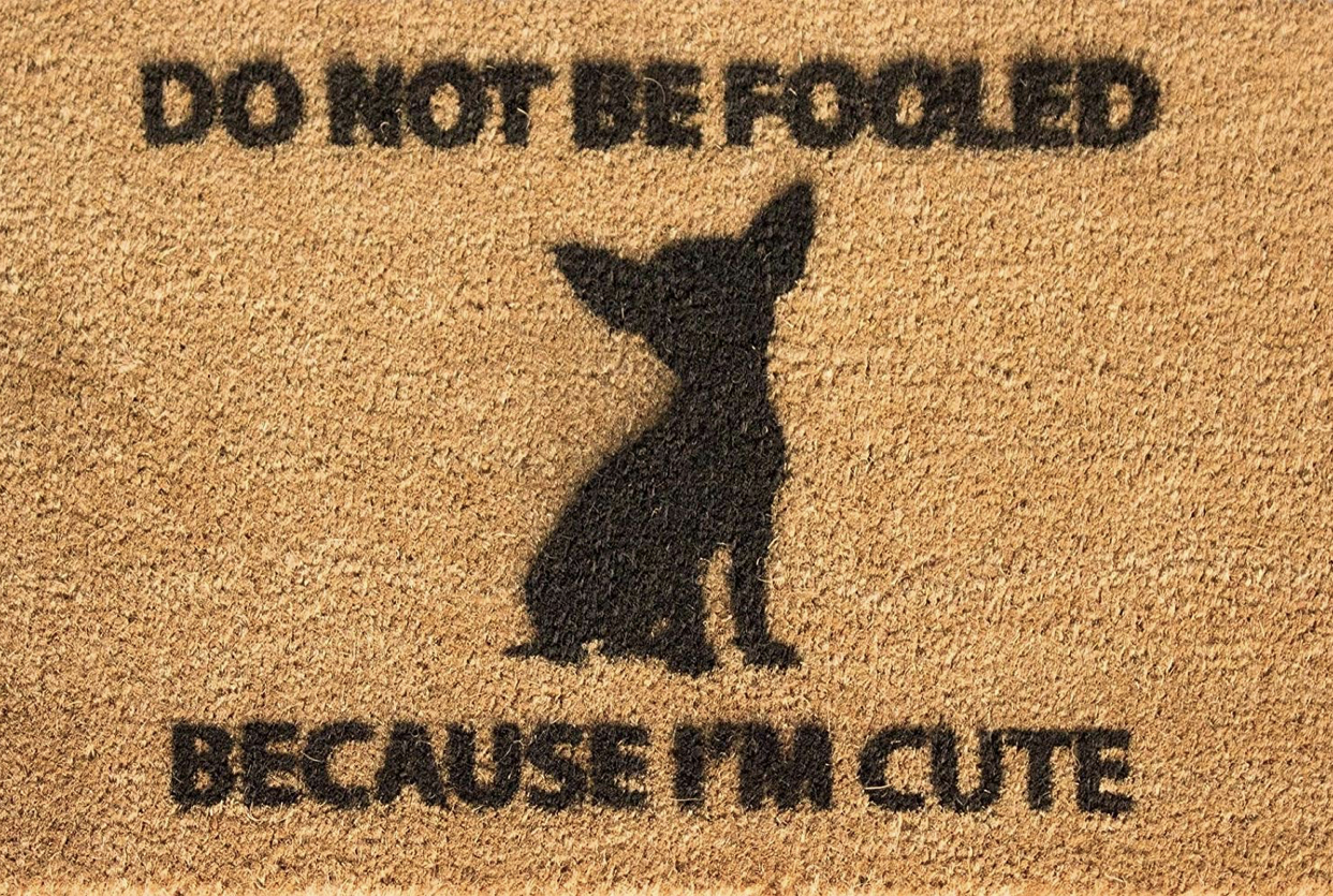 Chihuahua doormats 12 Chihuahua doormats 12