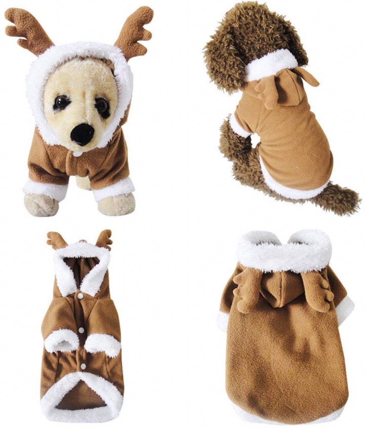 Chihuahua costumes 5 Chihuahua costumes 5